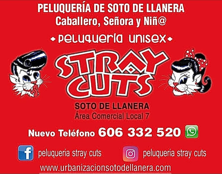 Cartel Stray Cuts con datos de contacto